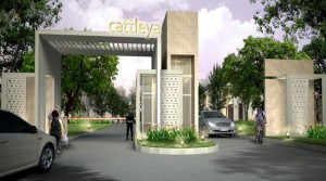 Cluster Cattleya Banjar Wijaya